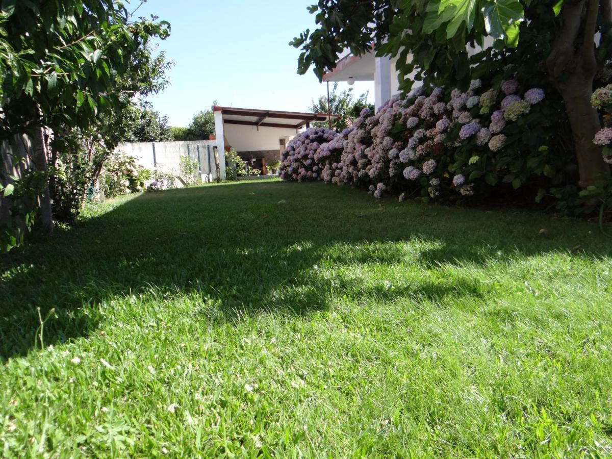 Ribeiro'S House Vila Gafanha da Nazaré Exterior foto